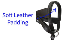 Paris Tack removable easy-catch lead attached showing safe handling