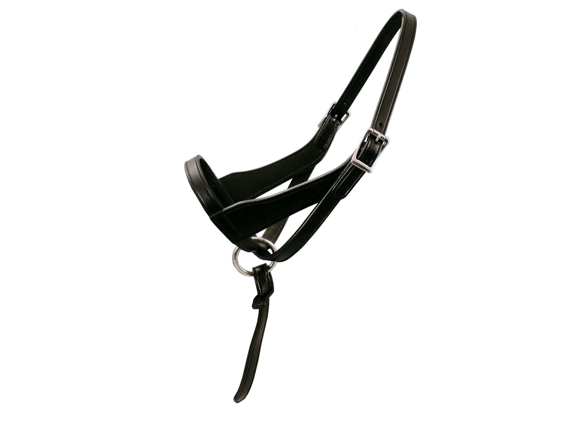 Paris Tack halter front view showing fit and durable leather benefit