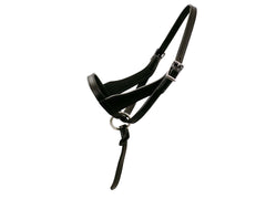 Paris Tack halter front view showing fit and durable leather benefit