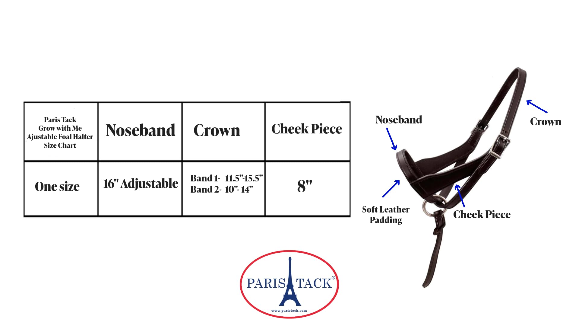 Paris Tack halter worn by foal in pasture showing secure fit
