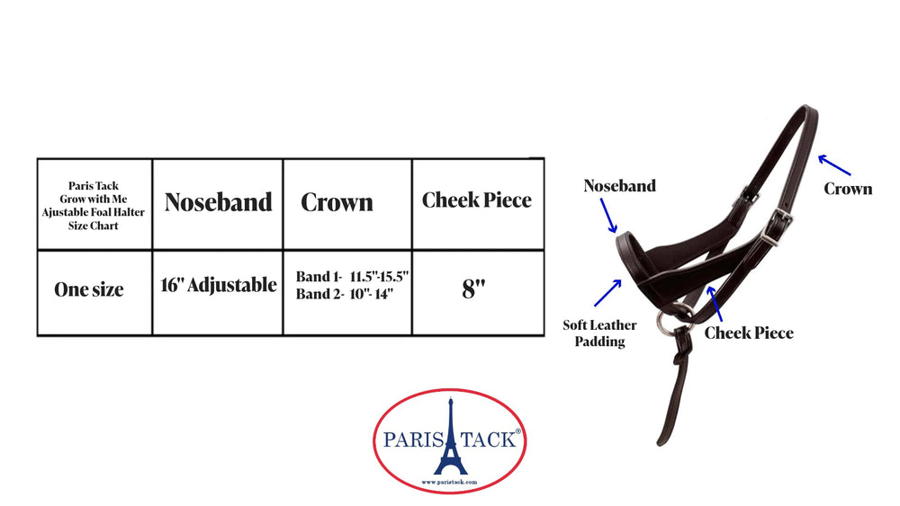 Paris Tack halter worn by foal in pasture showing secure fit