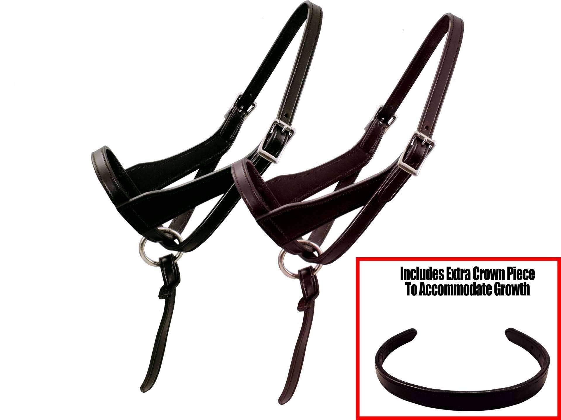 Paris Tack halter size comparison from newborn to weanling showing adaptable fit