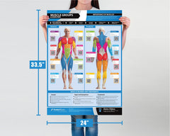 Posterfit detailed exercise sequence images demonstrating proper technique and form