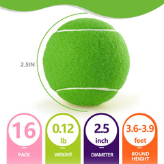 PoyPet ball cutaway showing core bounce for consistent training performance
