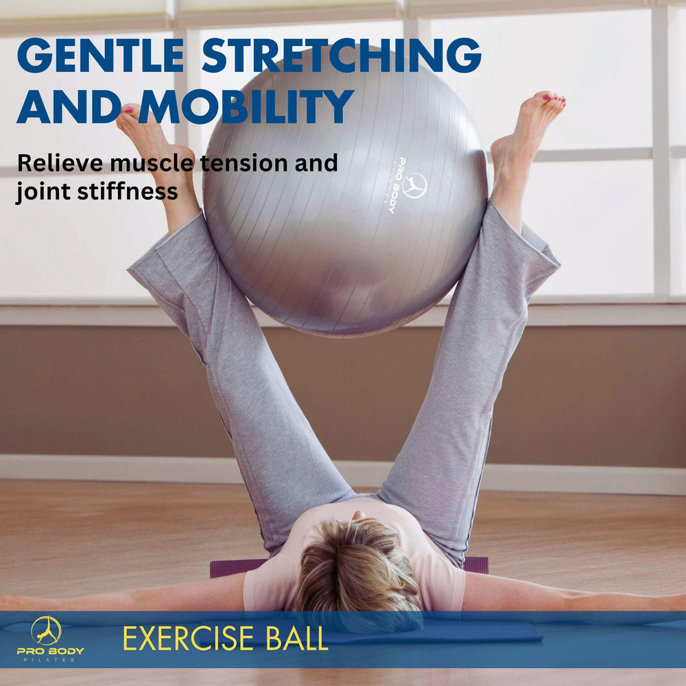 ProBody Pilates pump, plugs, and guide included for convenient setup and maintenance