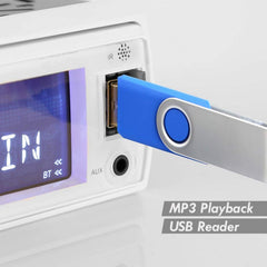 Pyle PLRMR23BTW USB and SD card inputs close-up, versatile media playback benefit