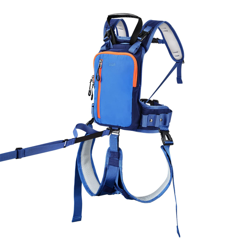 QOGIR harness leg-loop detail highlighting secure fit and stability