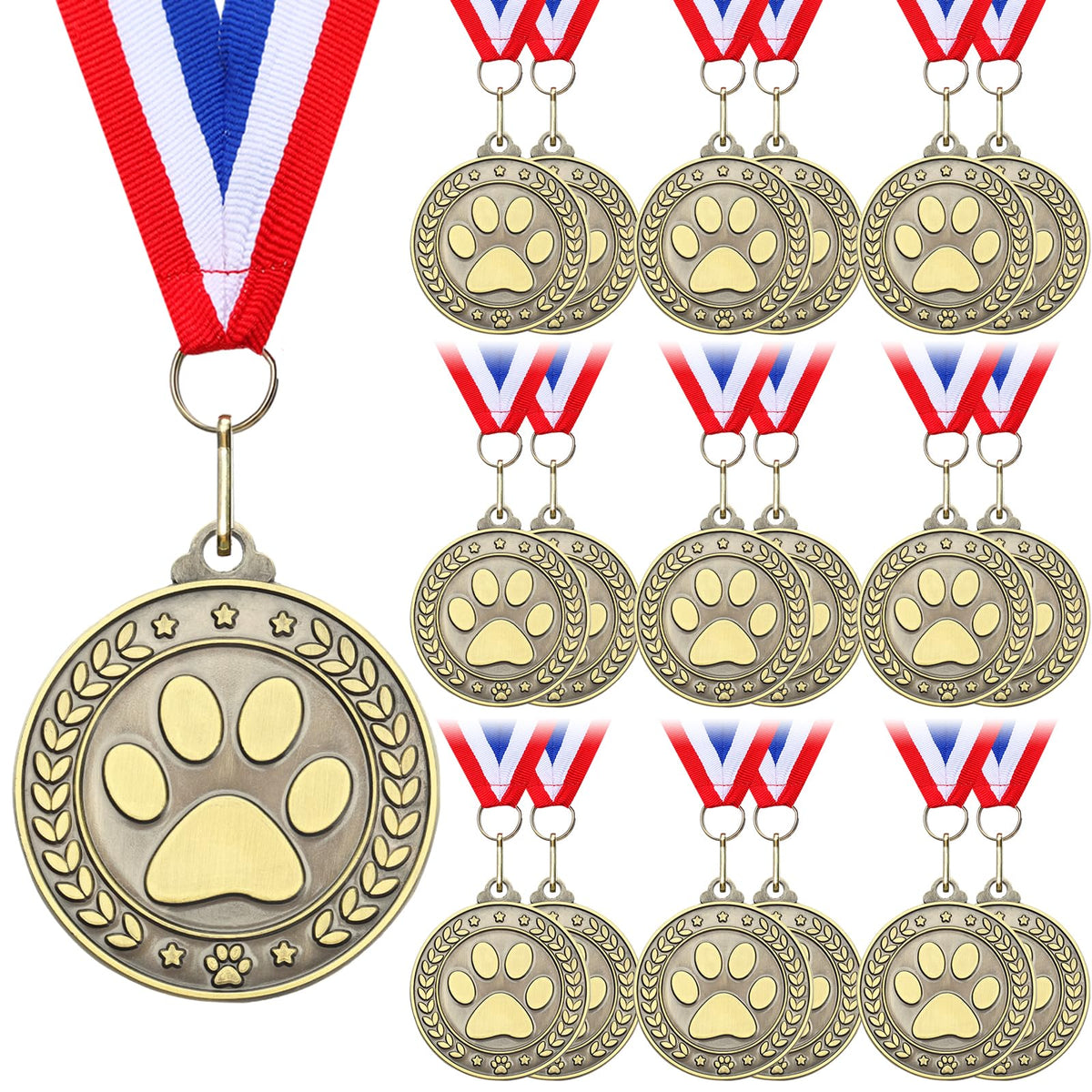 Quelay front view showing paw print medal and Excellence text, ideal for awards