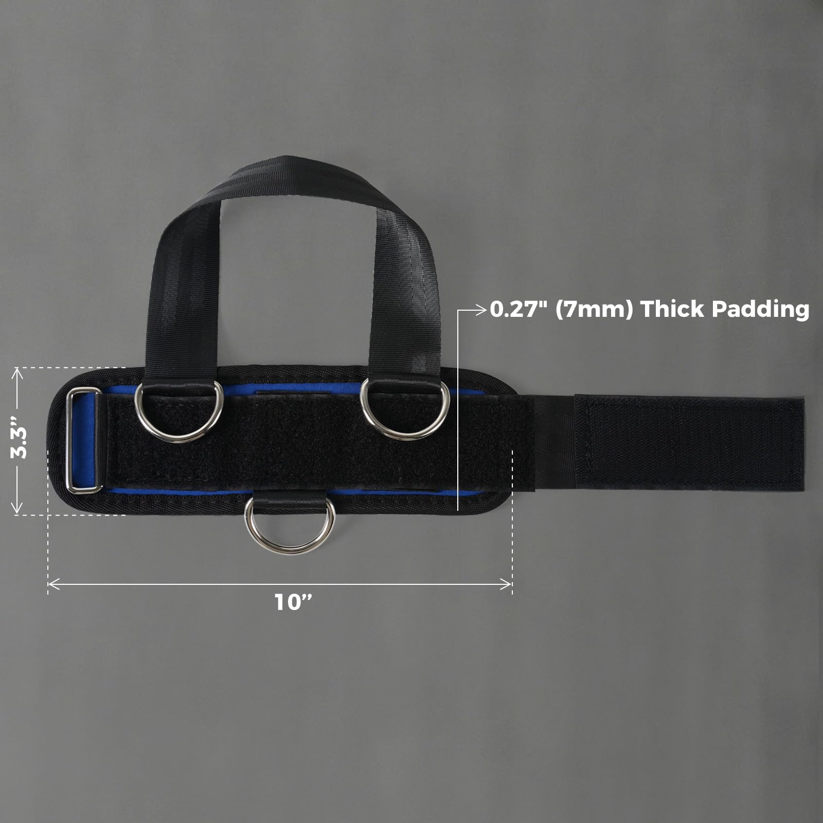 RitFit detail of three welded D-rings showing durable attachment strength