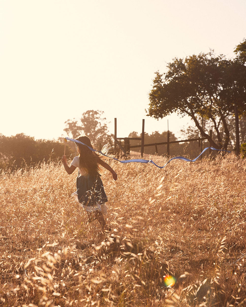 Sarah's Silks streamer in use outdoors showing bright movement benefit