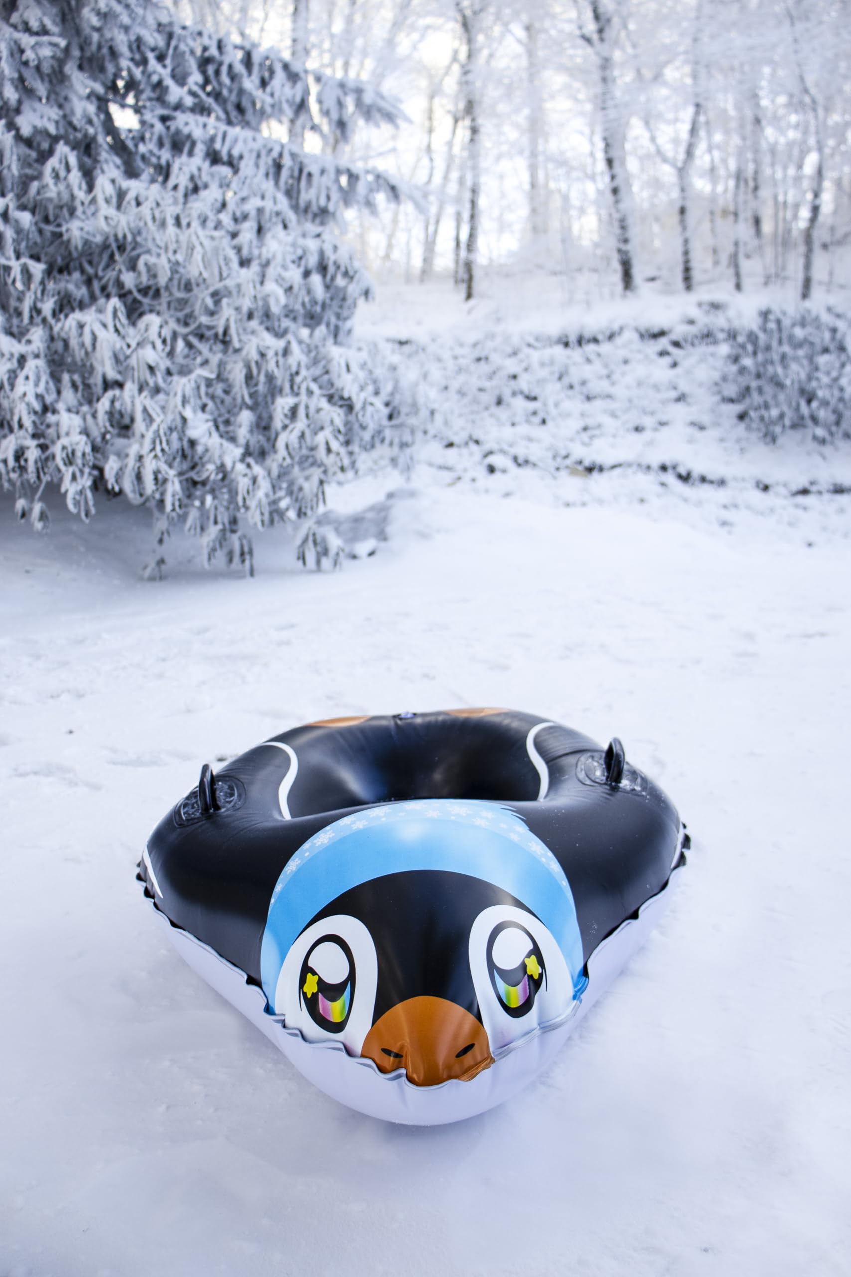 SNOWCANDY family using sleds outdoors showing durable winter play