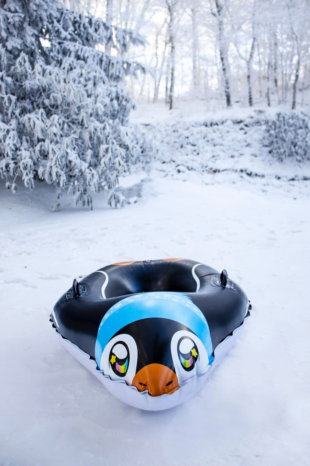 SNOWCANDY family using sleds outdoors showing durable winter play
