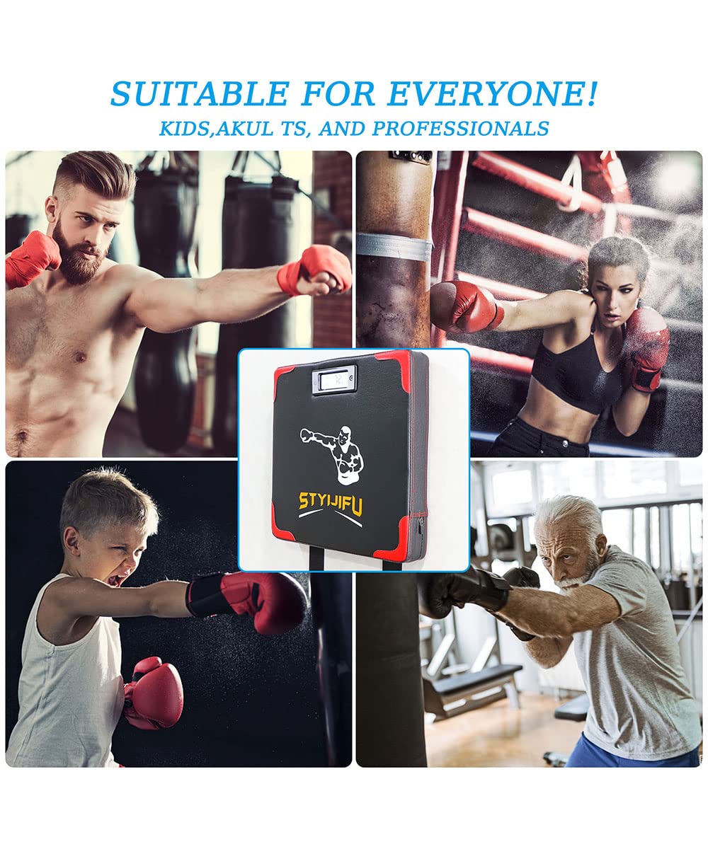 STYIJIFU mounted on a gym wall being struck for efficient space-saving training