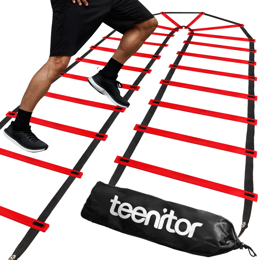Teenitor front view packaged showing folded ladder and clear carry bag for easy transport
