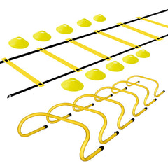 TNZMART front view of ladder and cones showing kit completeness and portability