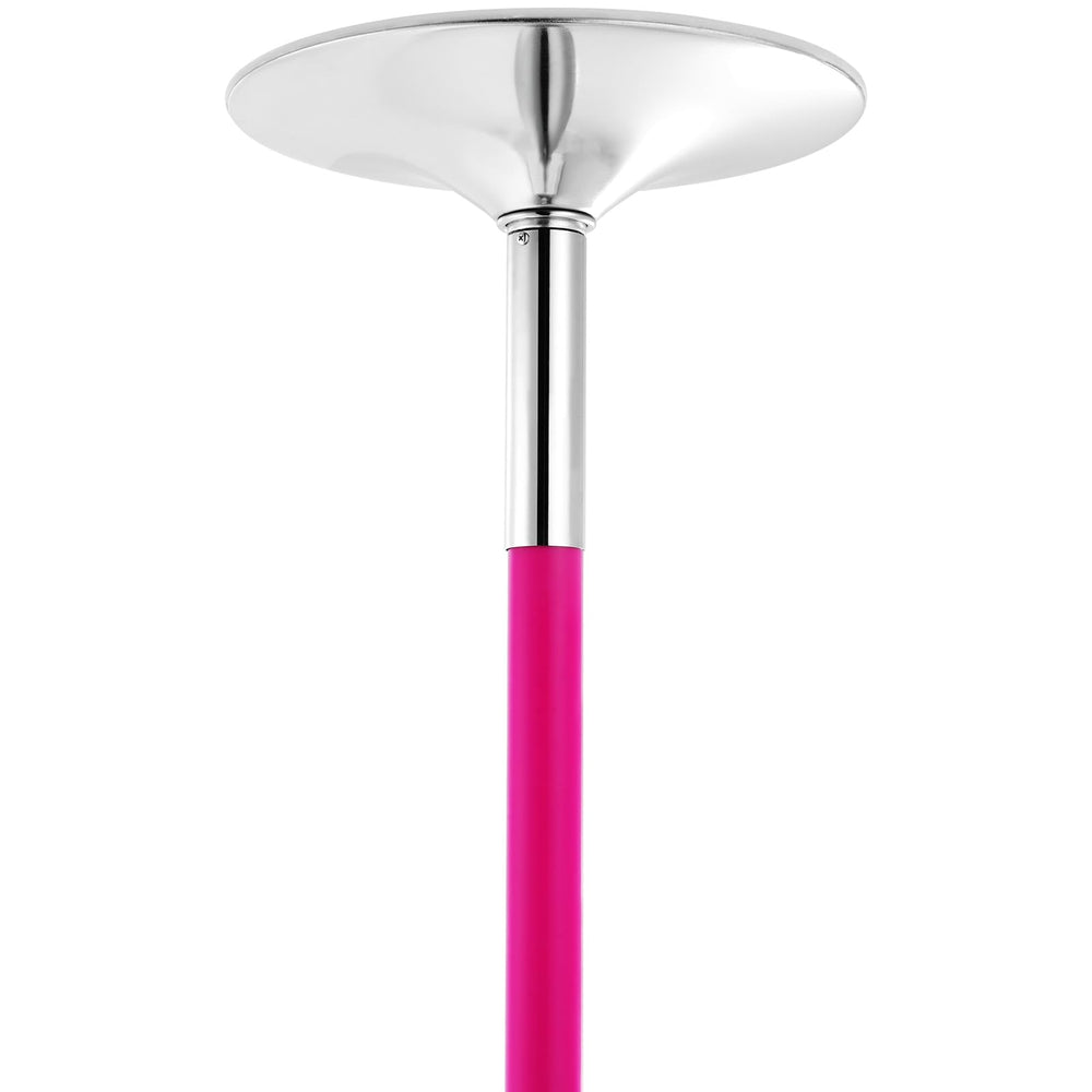 VEVOR pole in studio demonstrating professional-use stability benefit