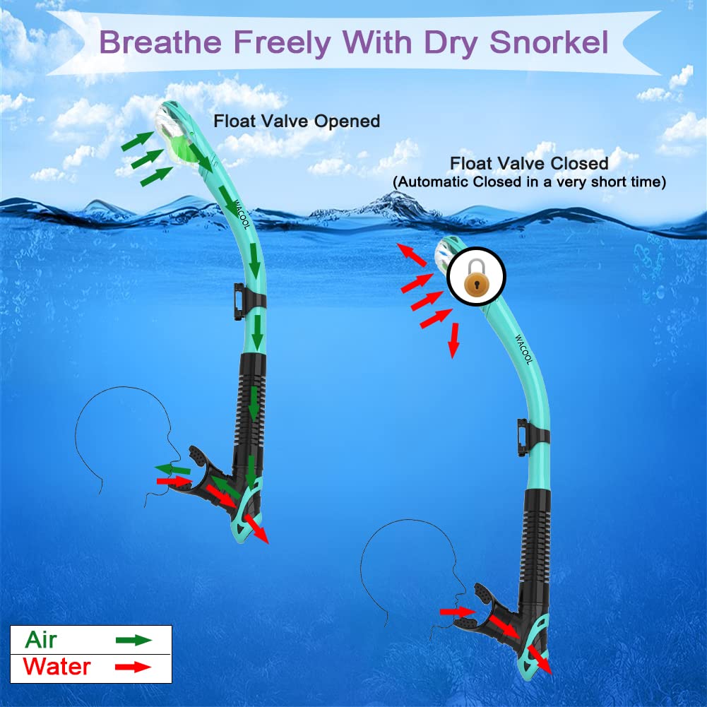 WACOOL dry-top snorkel showing splash guard and purge valve for easier clearing