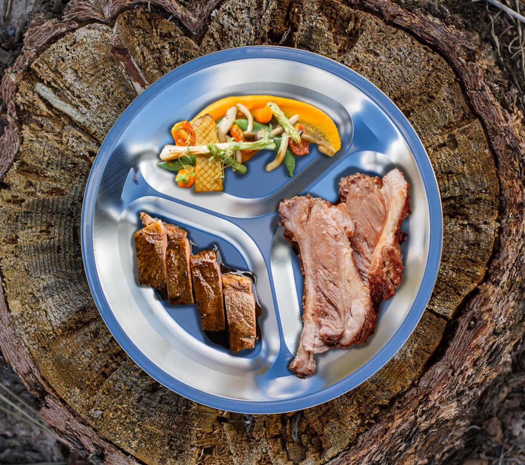 Wealers plate sectional view highlighting divided areas for organized meals benefit