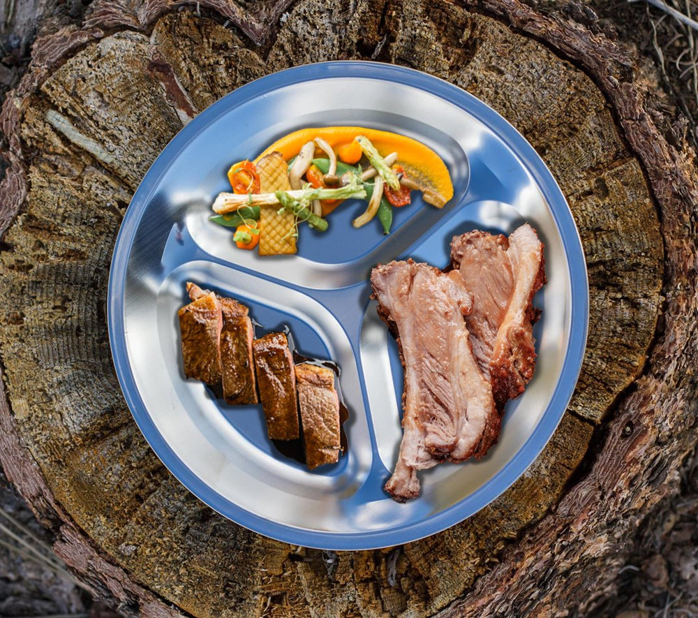 Wealers plate sectional view highlighting divided areas for organized meals benefit