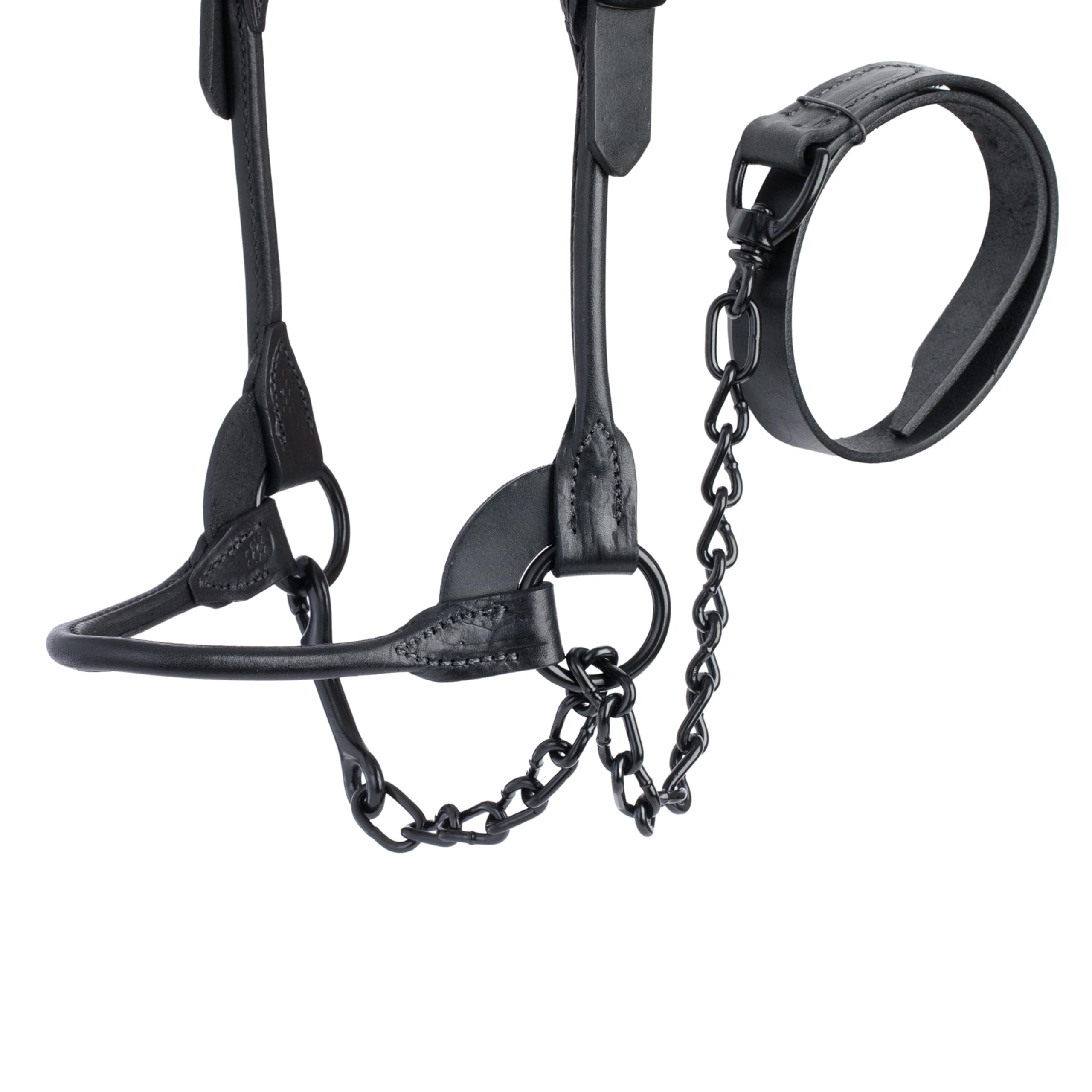 Weaver Livestock 20-inch chain and 36-inch lead included for secure show handling