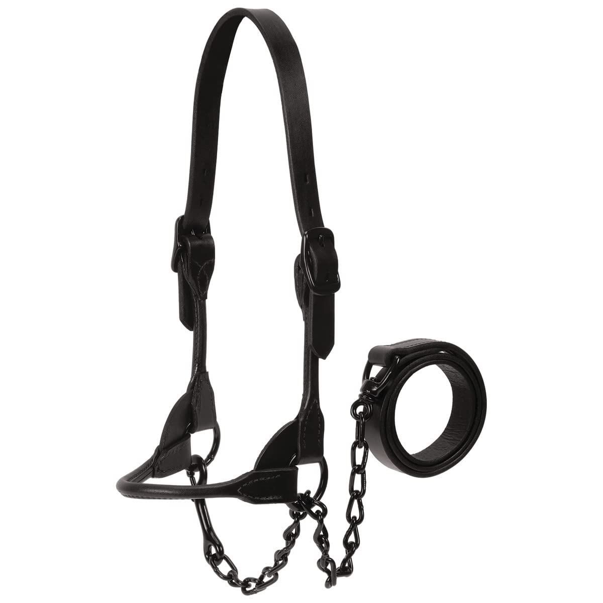 Weaver Livestock front view of halter showing streamlined silhouette and professional finish