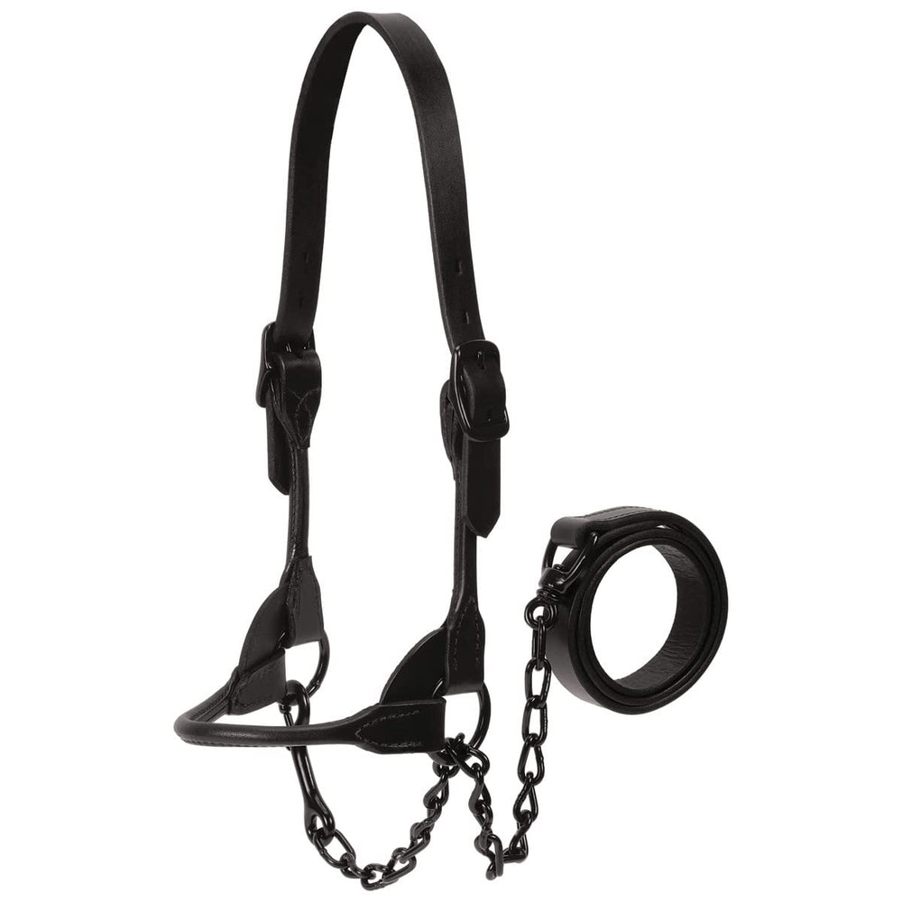 Weaver Livestock front view of halter showing streamlined silhouette and professional finish