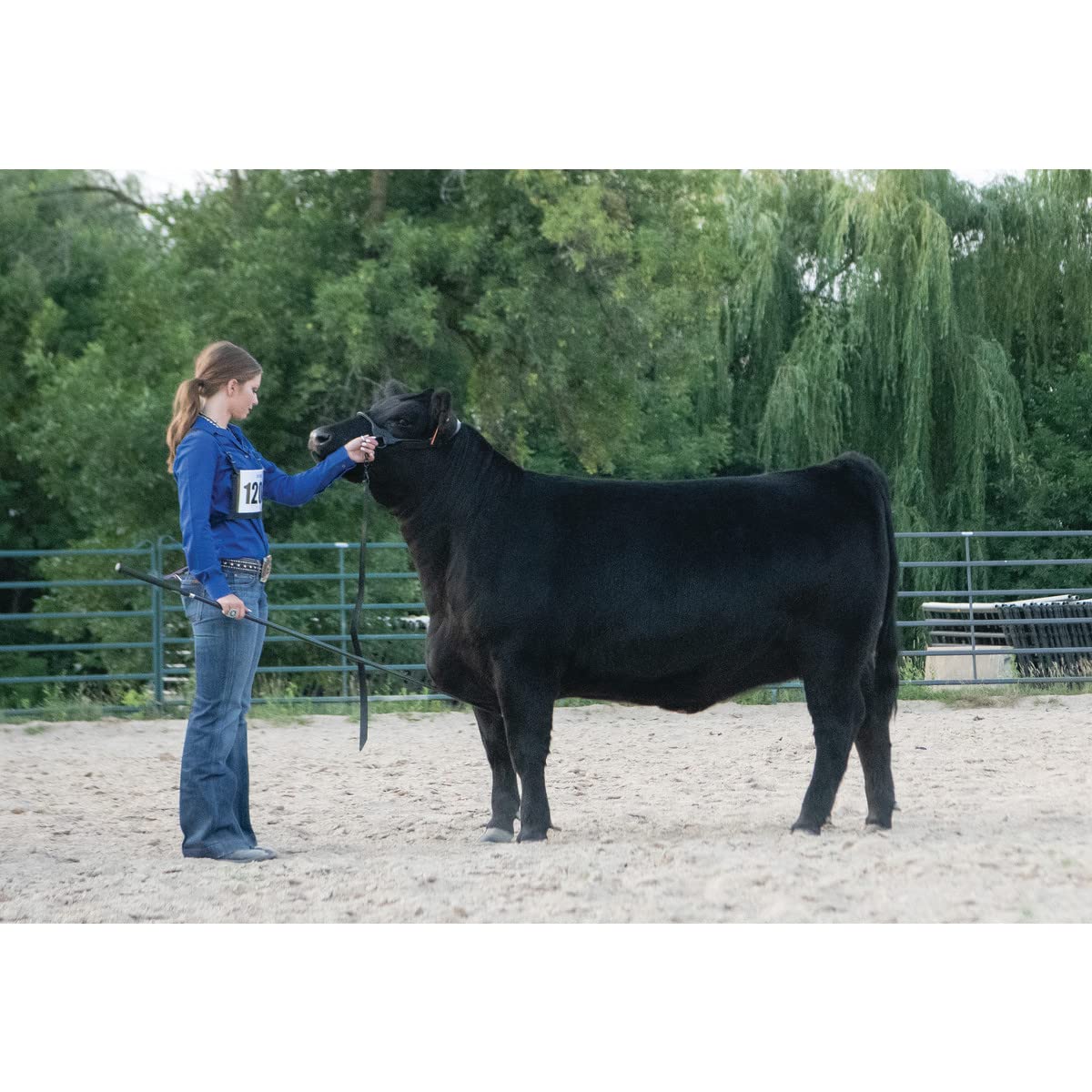 Weaver Livestock glossy black hardware detail showing understated, low-reflective finish