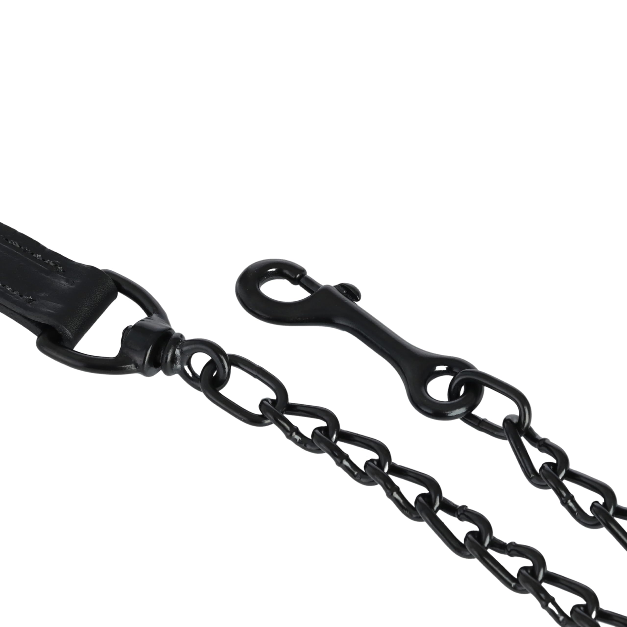 Weaver Livestock halter in showring lifestyle setting highlighting polished presentation