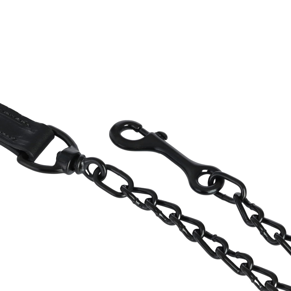 Weaver Livestock halter in showring lifestyle setting highlighting polished presentation