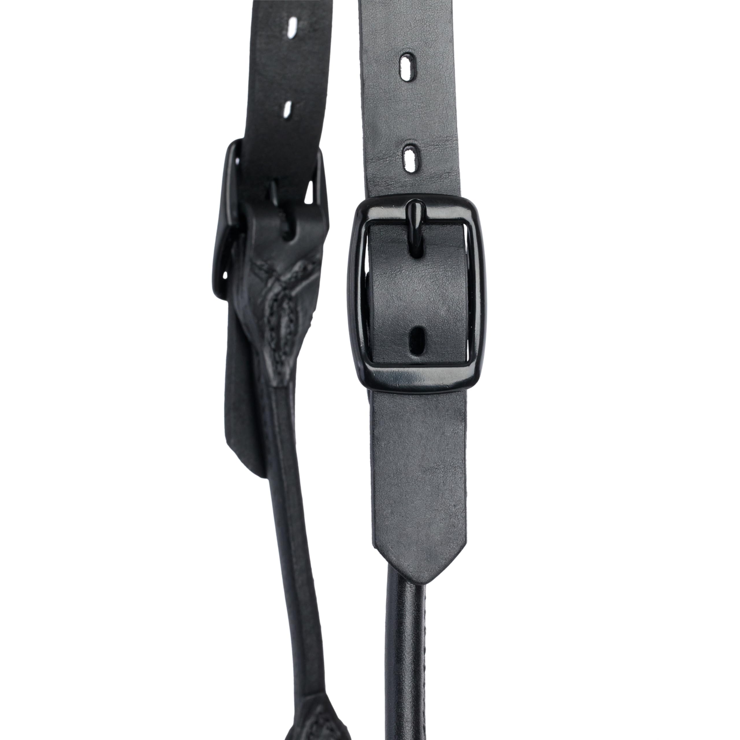 Weaver Livestock side fit on animal illustrating medium size and balanced head profile