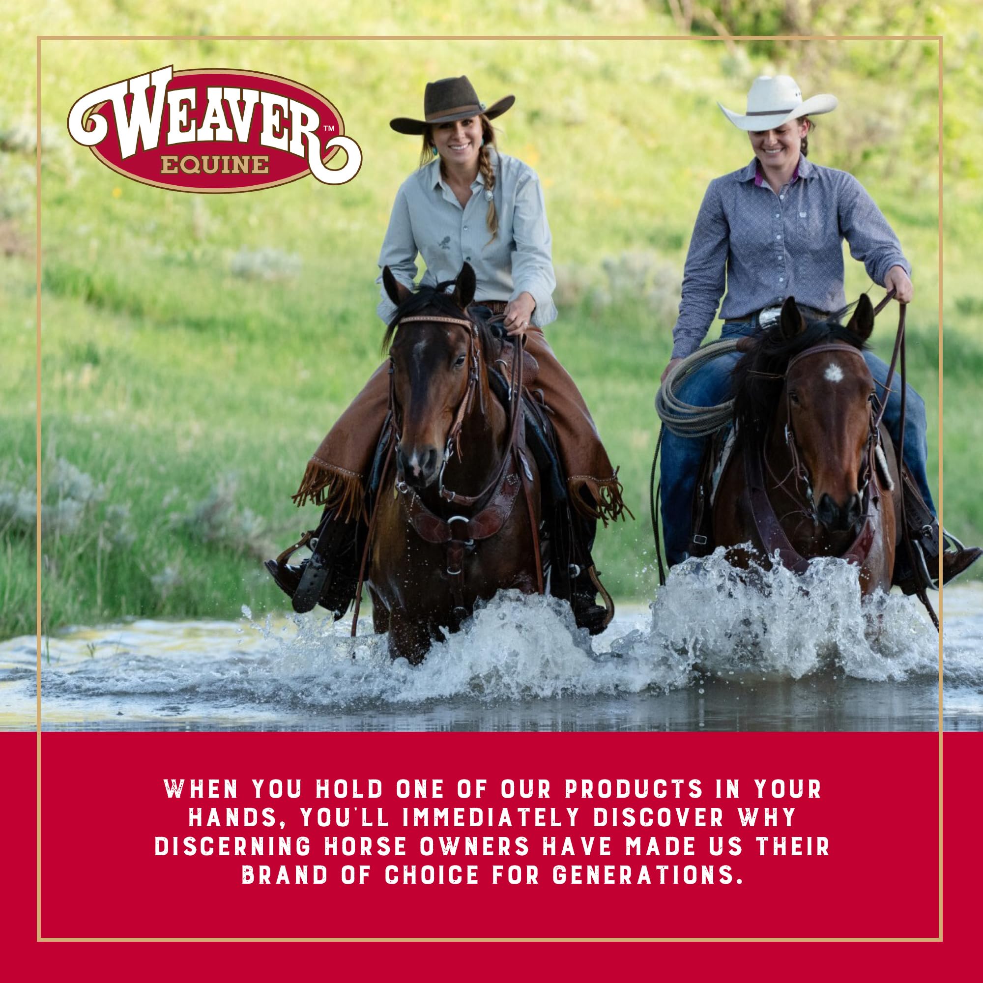 Weaver Equine spur straps in arena setting showing practical use and style