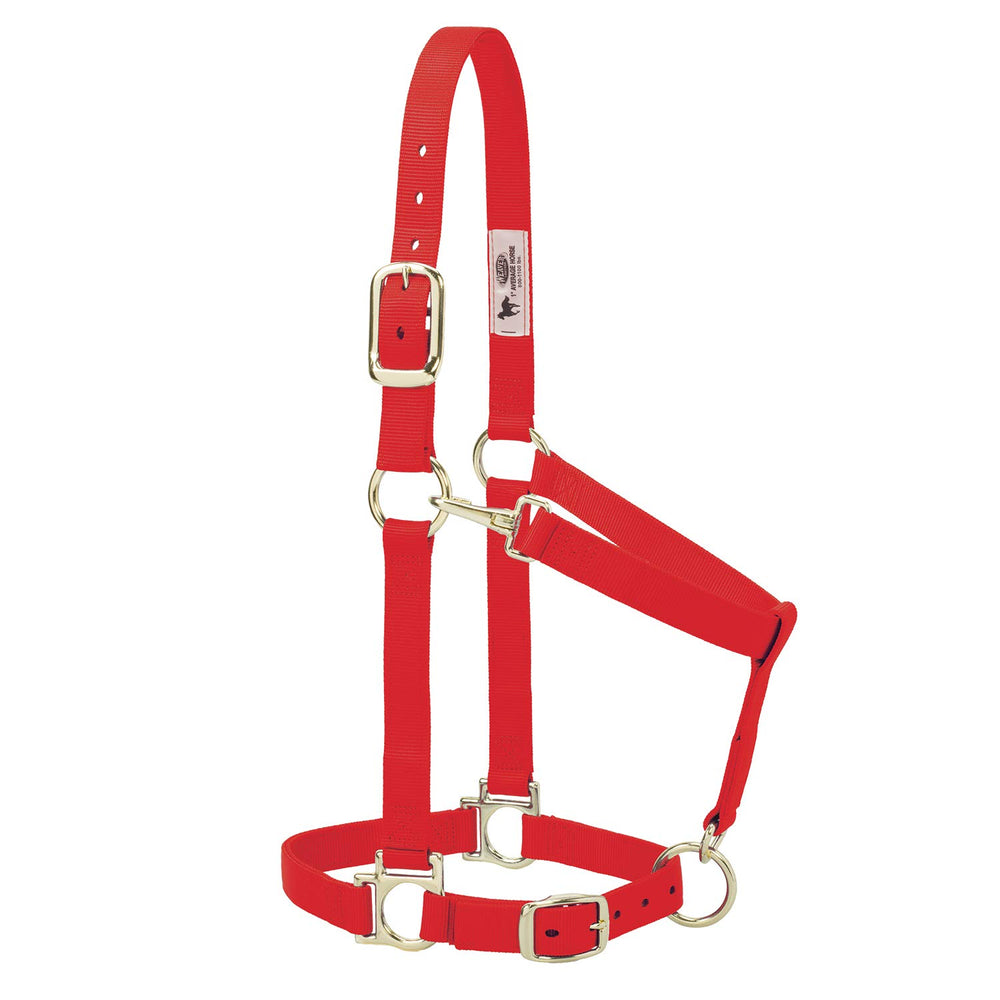 Weaver Equine halter front view showing fit and durable hardware benefit