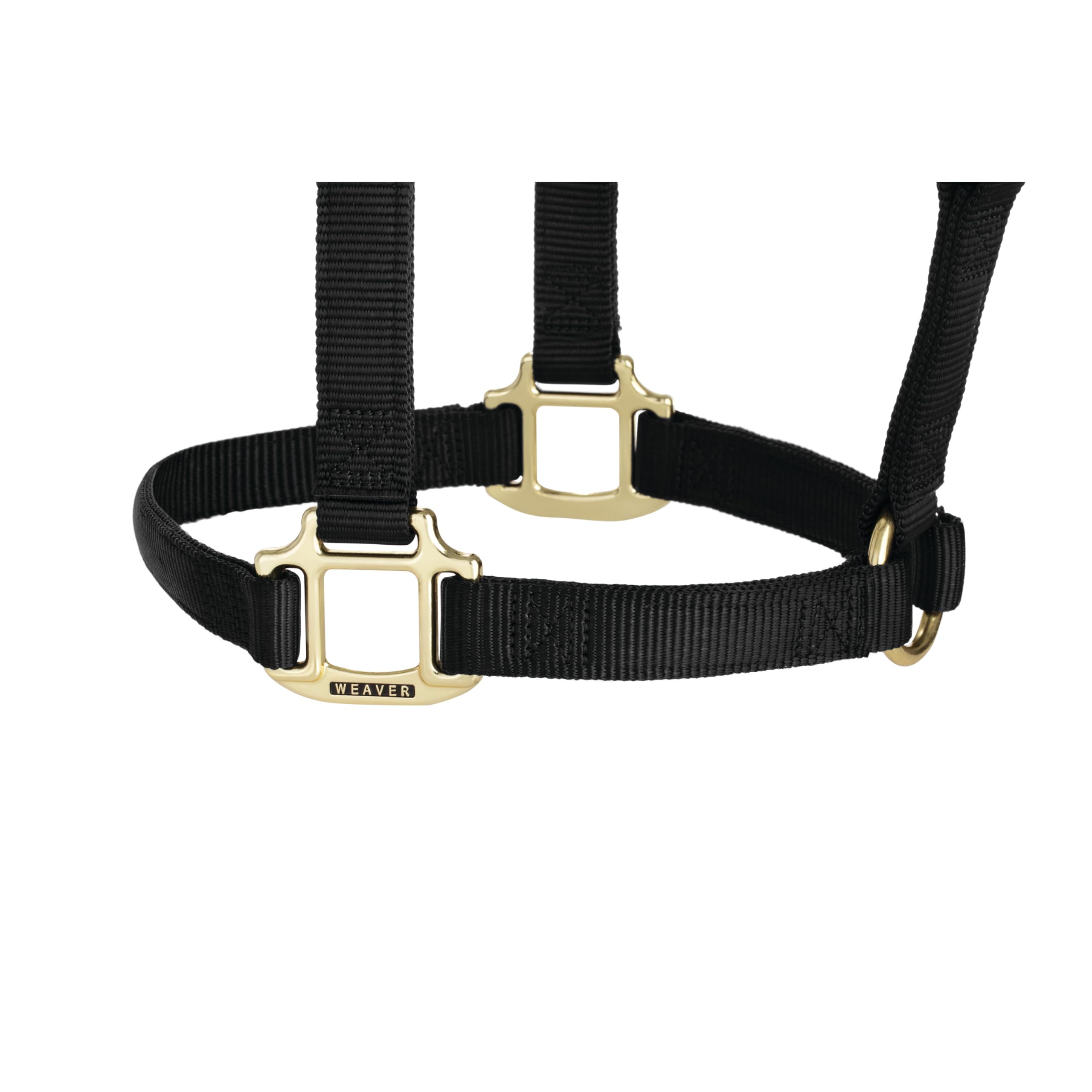 Weaver Equine heavy-duty brass hardware close-up for rust resistance