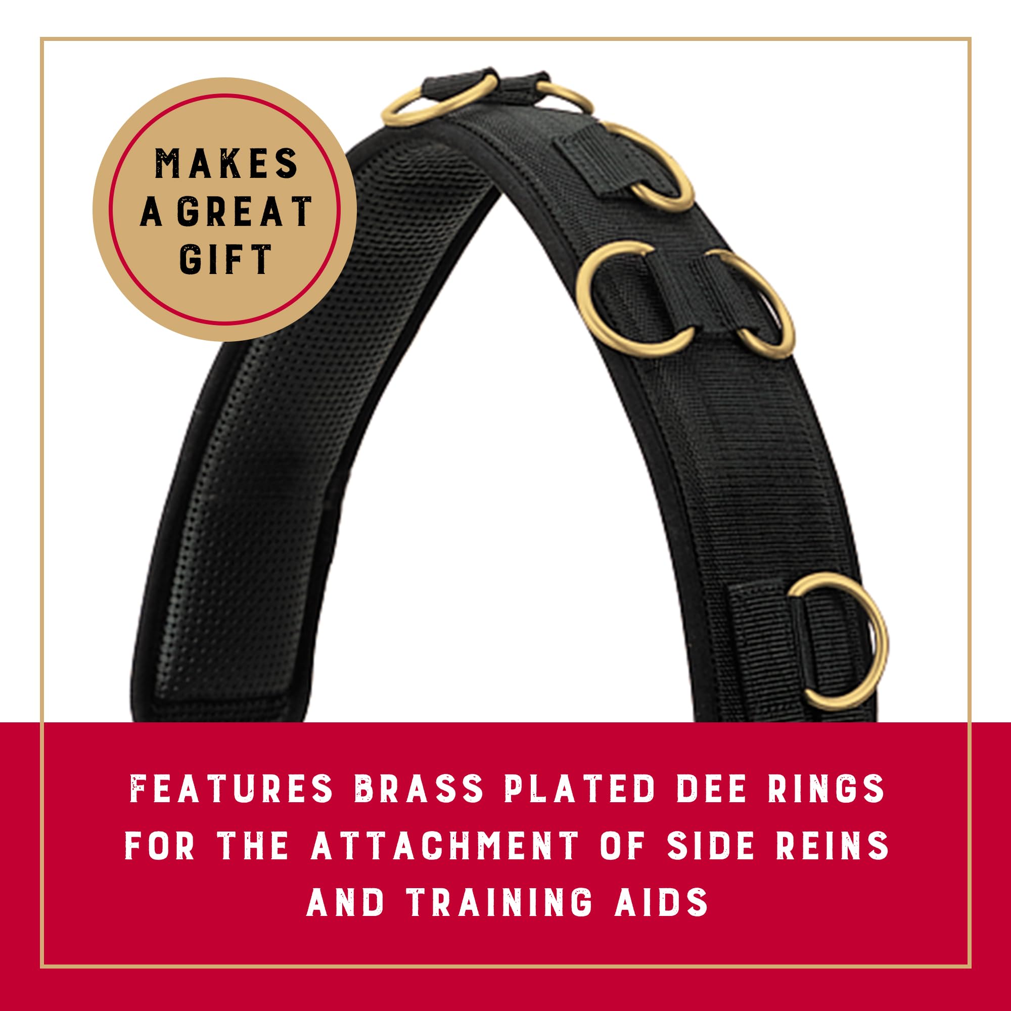 Weaver Equine dee rings arrangement illustrating versatile attachment points benefit