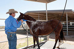 Weaver Equine foamer producing foam on horse coat showing faster cleaning benefit