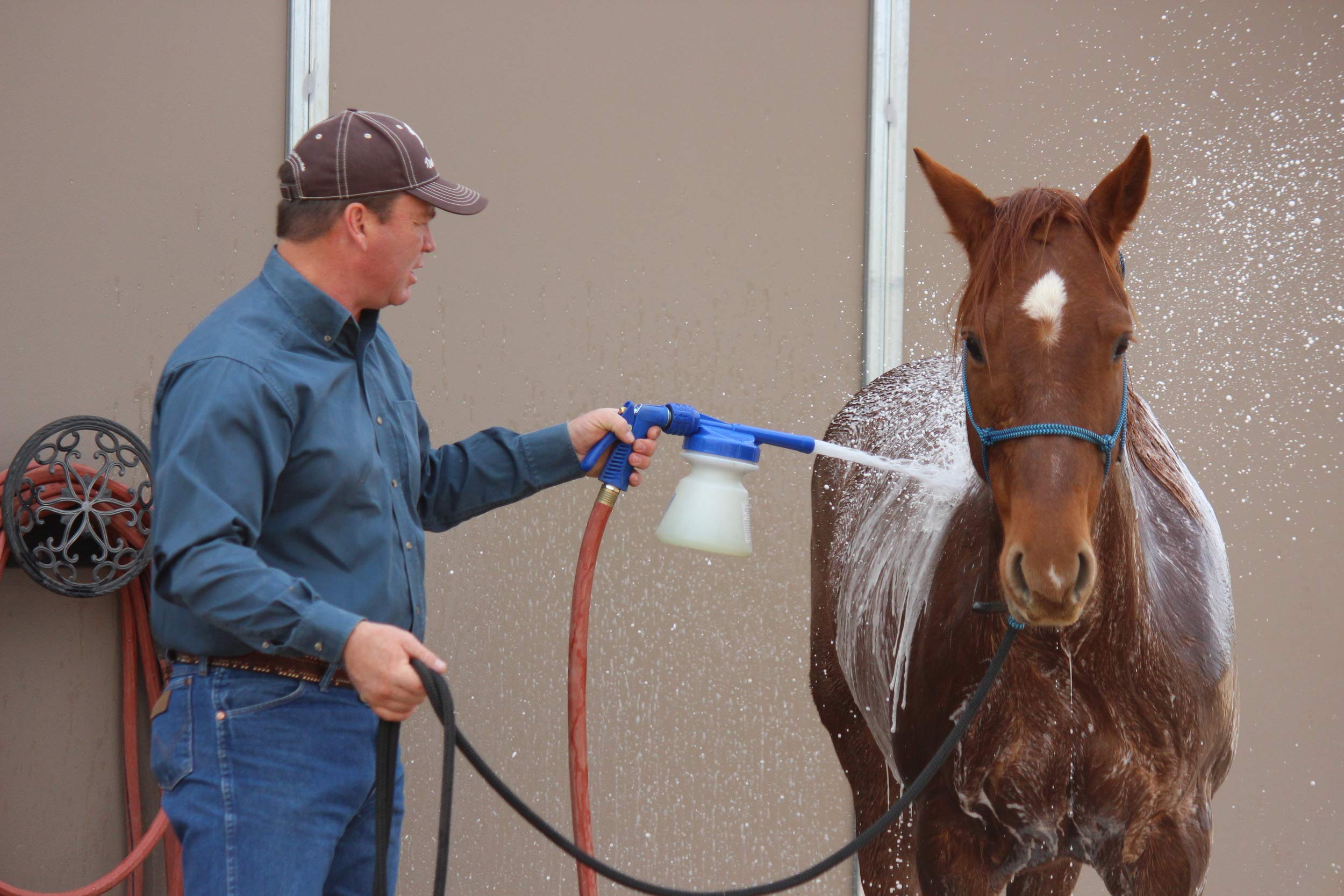 Weaver Equine kit components laid out showing complete starter set convenience benefit
