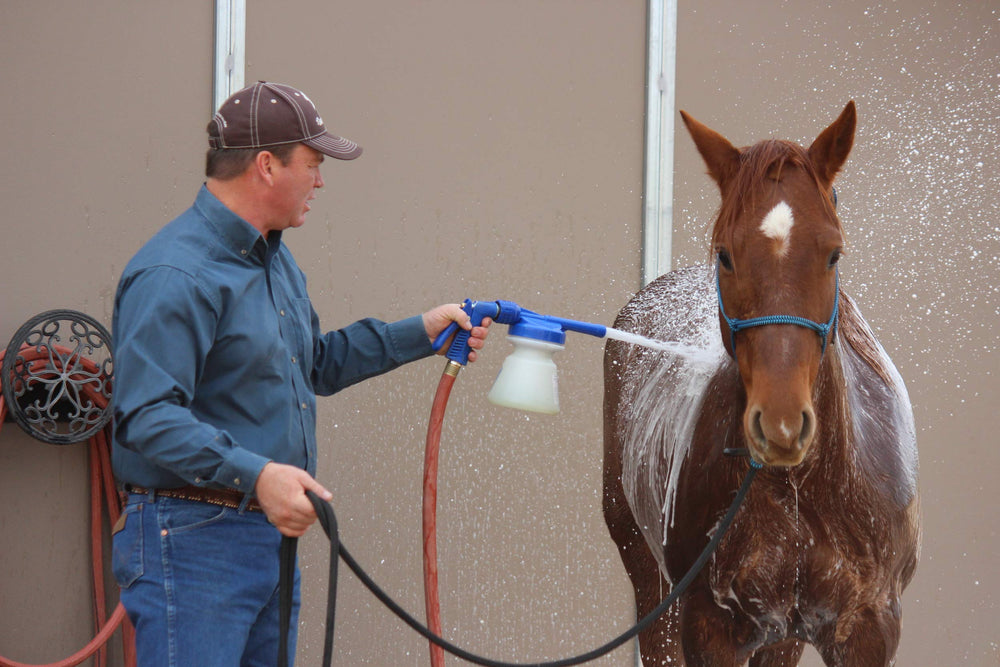 Weaver Equine kit components laid out showing complete starter set convenience benefit