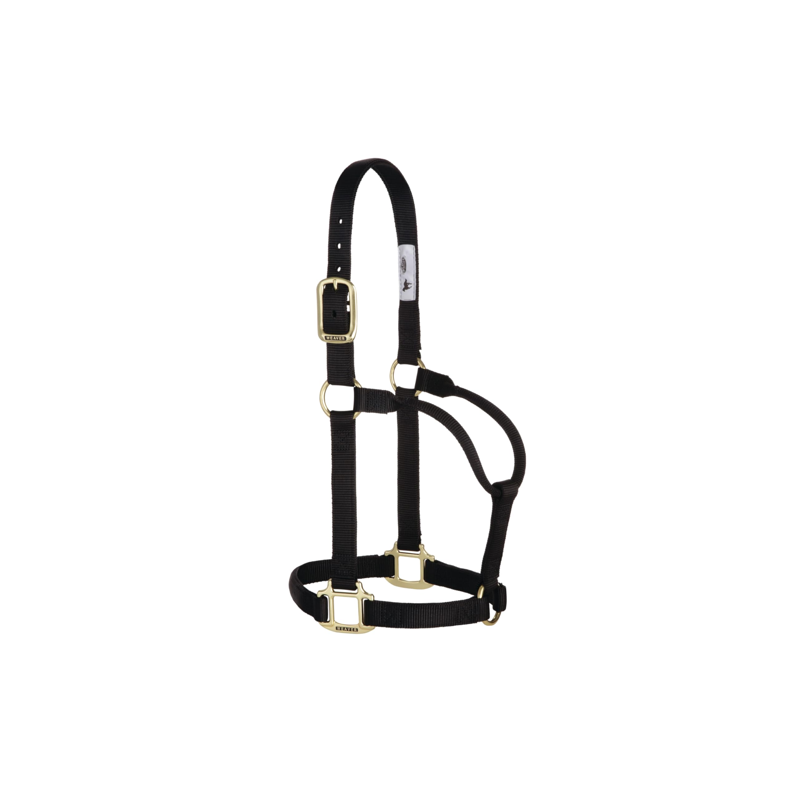 Weaver Equine halter front view showing snug fit and durable nylon