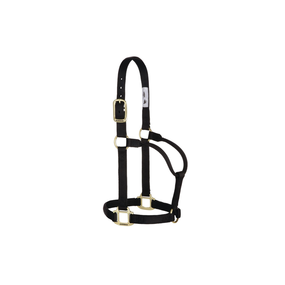 Weaver Equine halter front view showing snug fit and durable nylon