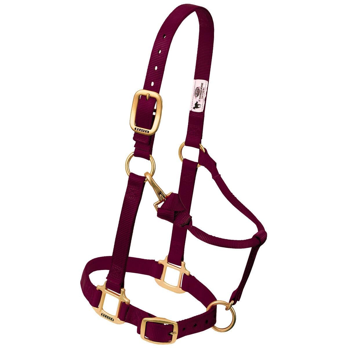 Weaver Equine halter front view showing burgundy nylon and secure fit benefit