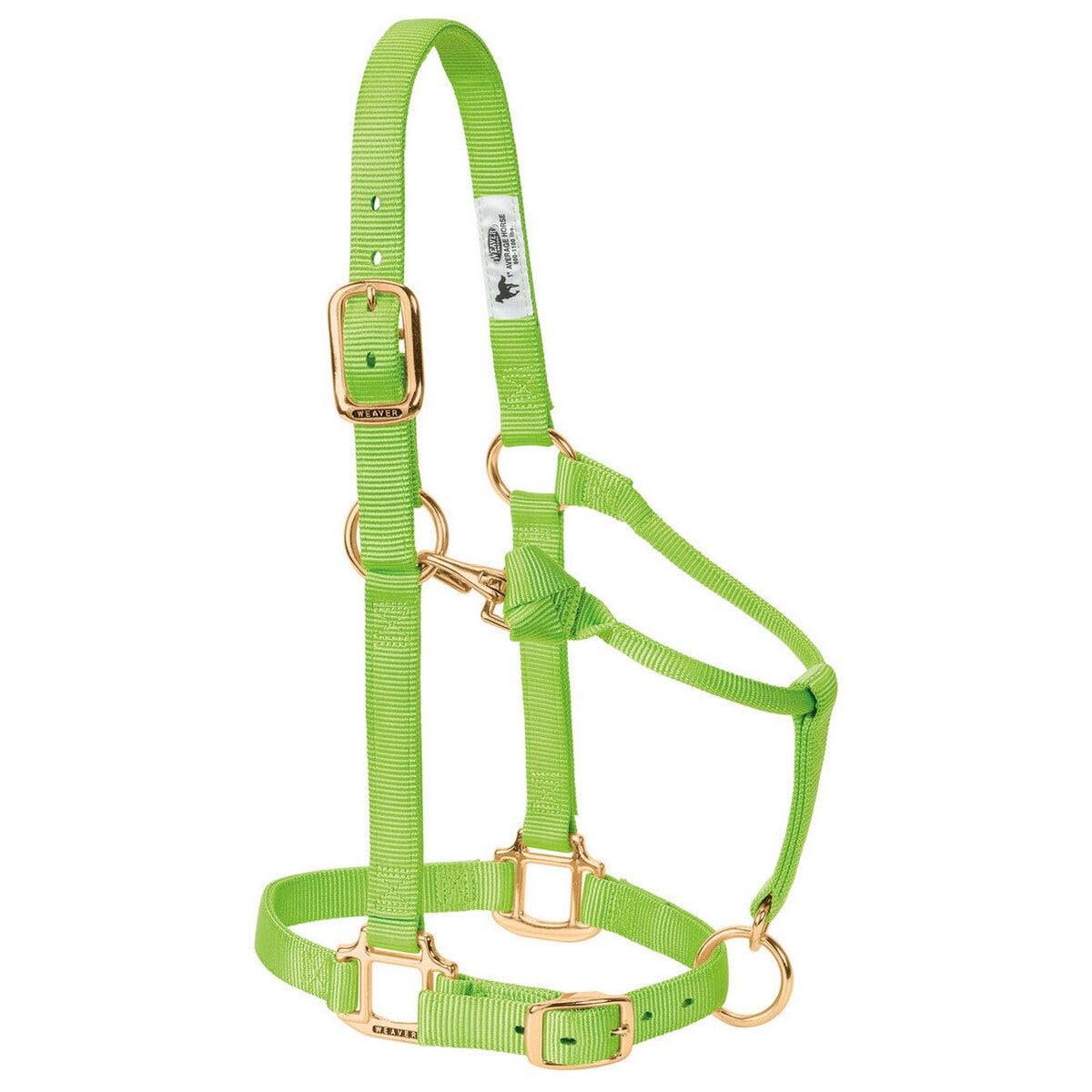 Weaver Equine halter in barn setting showing everyday use and easy maintenance