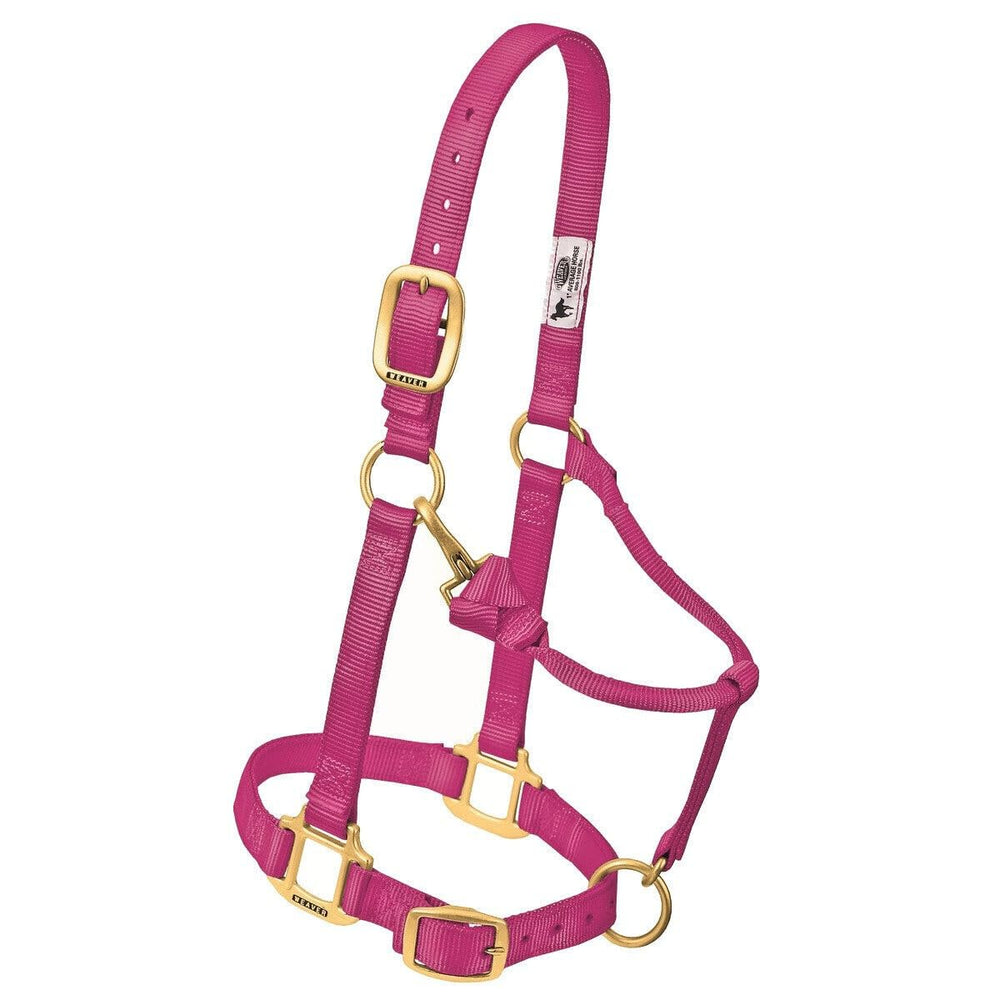 Weaver Equine oblong buckle and heat-sealed edge illustrating neat finish and adjustability