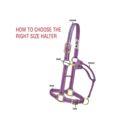 Weaver Equine halter on a horse in stable for practical use
