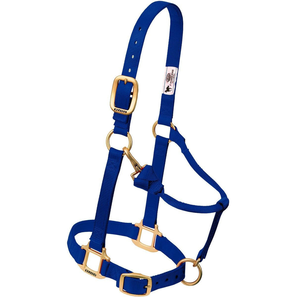 Weaver Equine halter on pony in stable showing comfortable everyday use