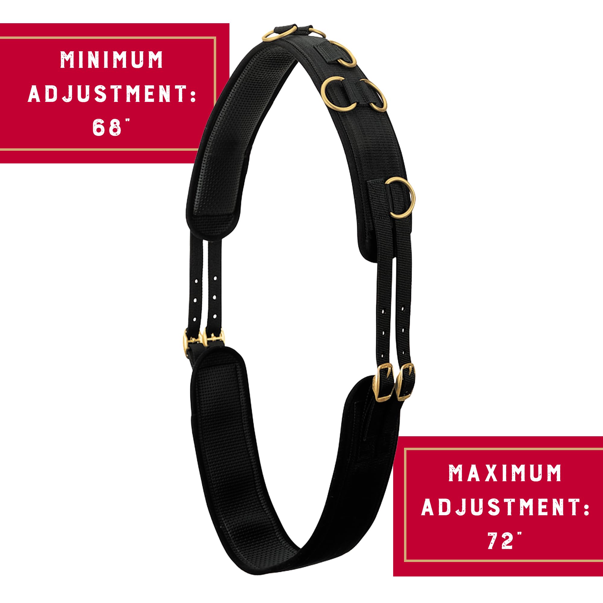 Weaver Equine on horse lunging setup demonstrating secure fit and training use