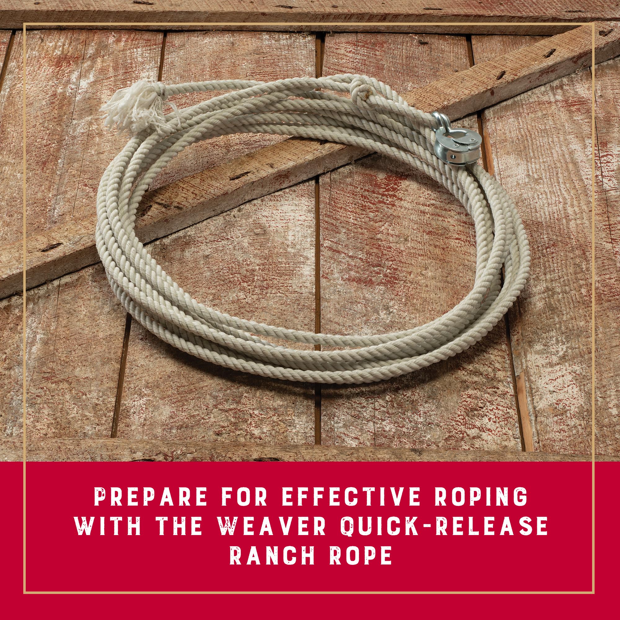 Weaver Equine close-up of rawhide honda demonstrating quick-release durability and secure fit