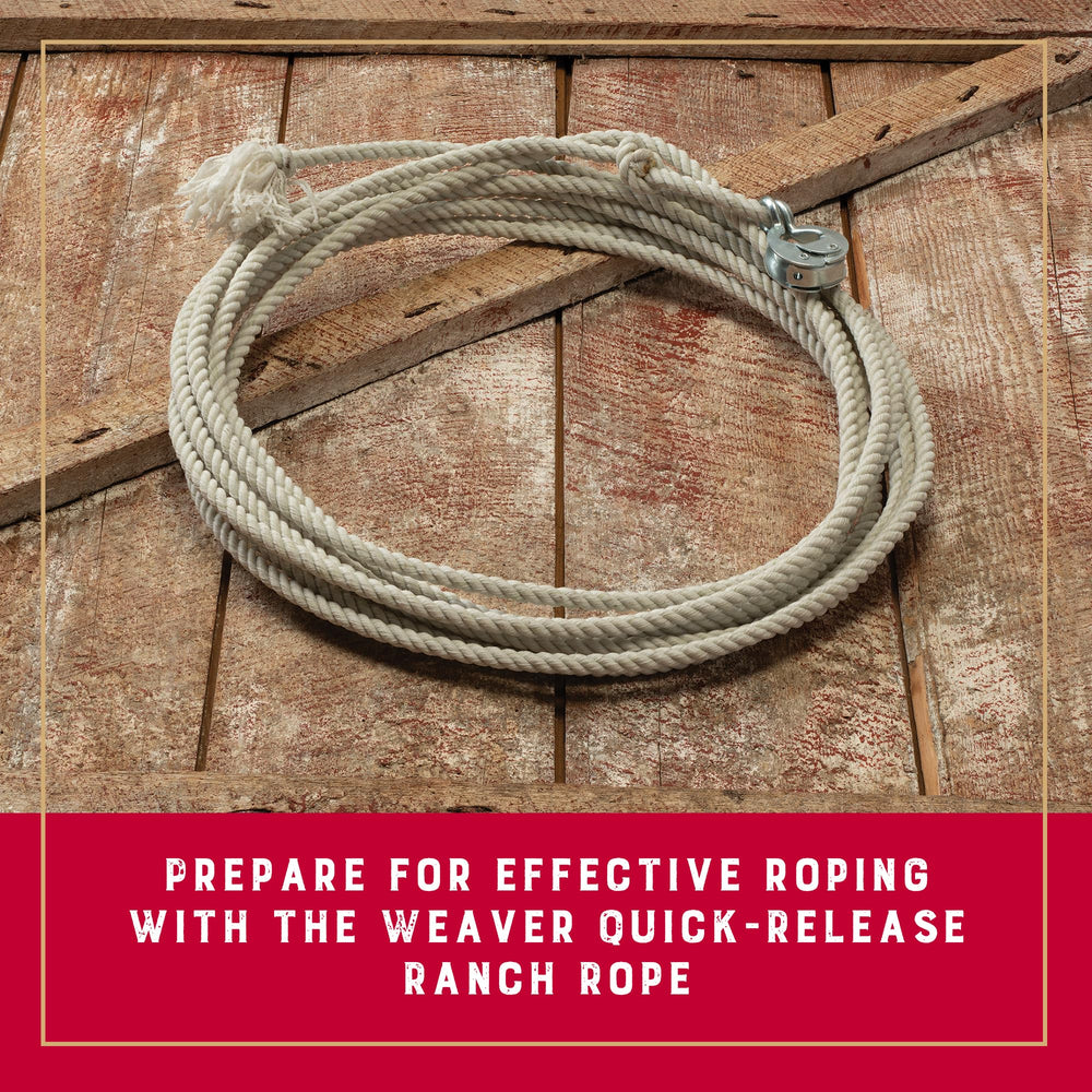 Weaver Equine close-up of rawhide honda demonstrating quick-release durability and secure fit