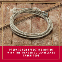 Weaver Equine close-up of rawhide honda demonstrating quick-release durability and secure fit