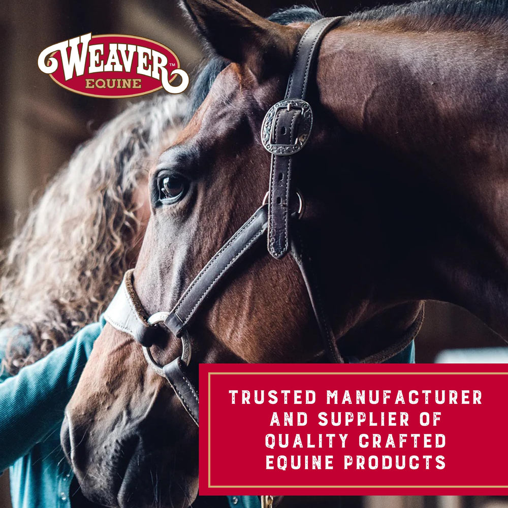 Weaver Equine spur straps beside ruler for size and scale clarity