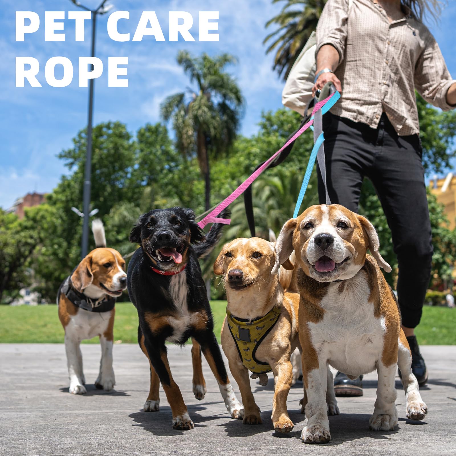 Wholelovein used as pet leash attached to collar showing secure control